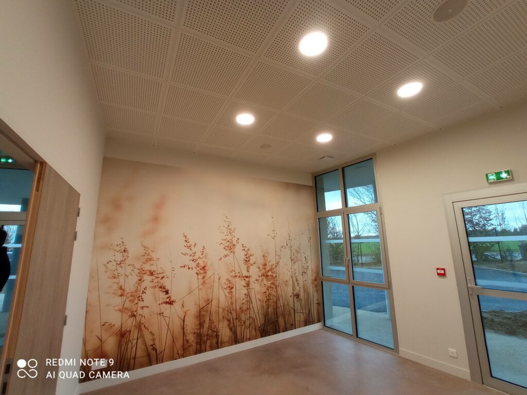 Bineau Plaquistes PLAQUISTE ANGERS Faux Plafond 2