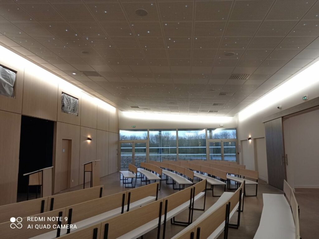 Bineau Plaquistes PLAQUISTE ANGERS Faux Plafond 8